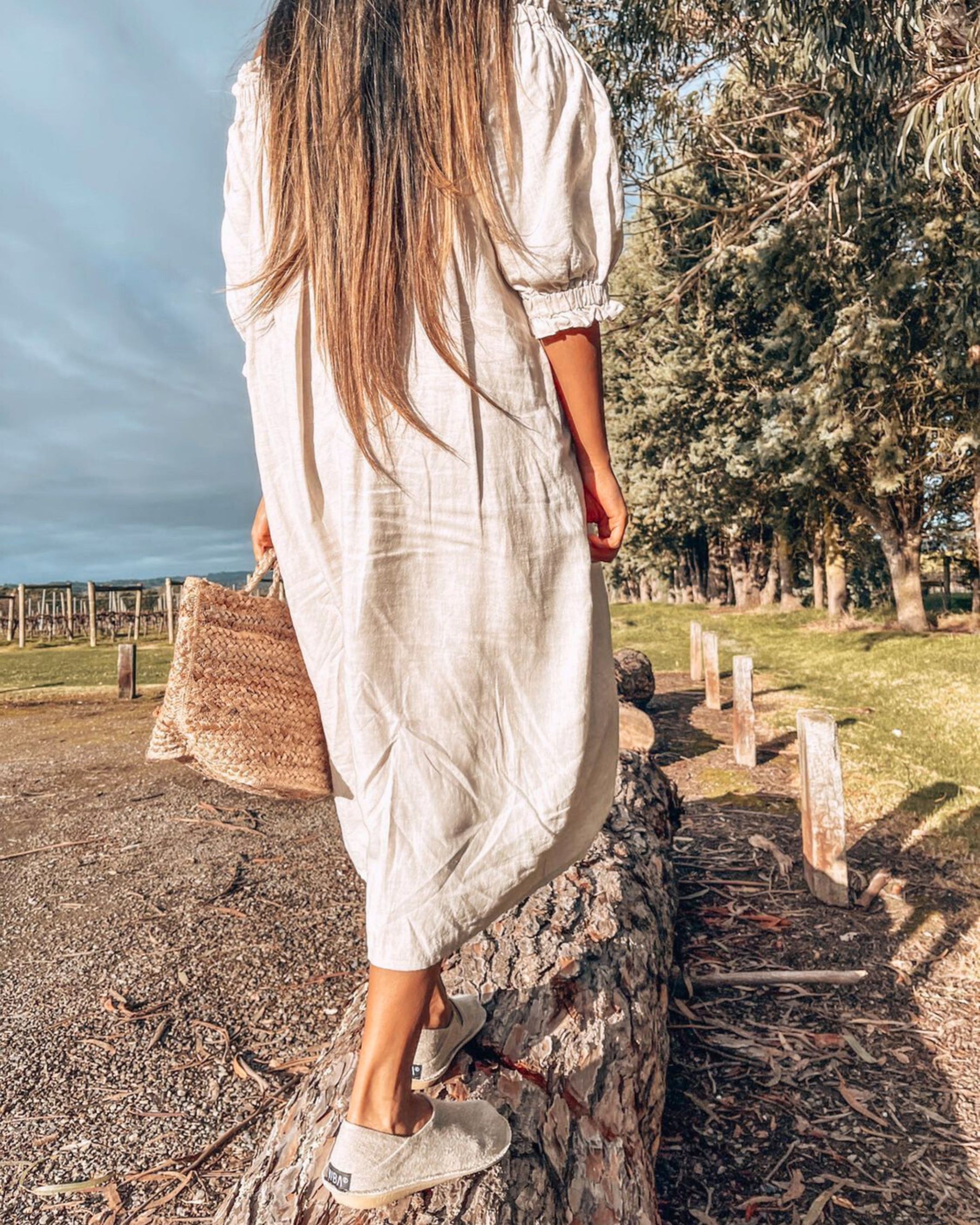 ZUMA Linen Sand Dollar