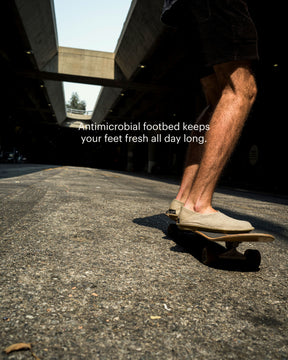 ZUMA Linen Sand Dollar