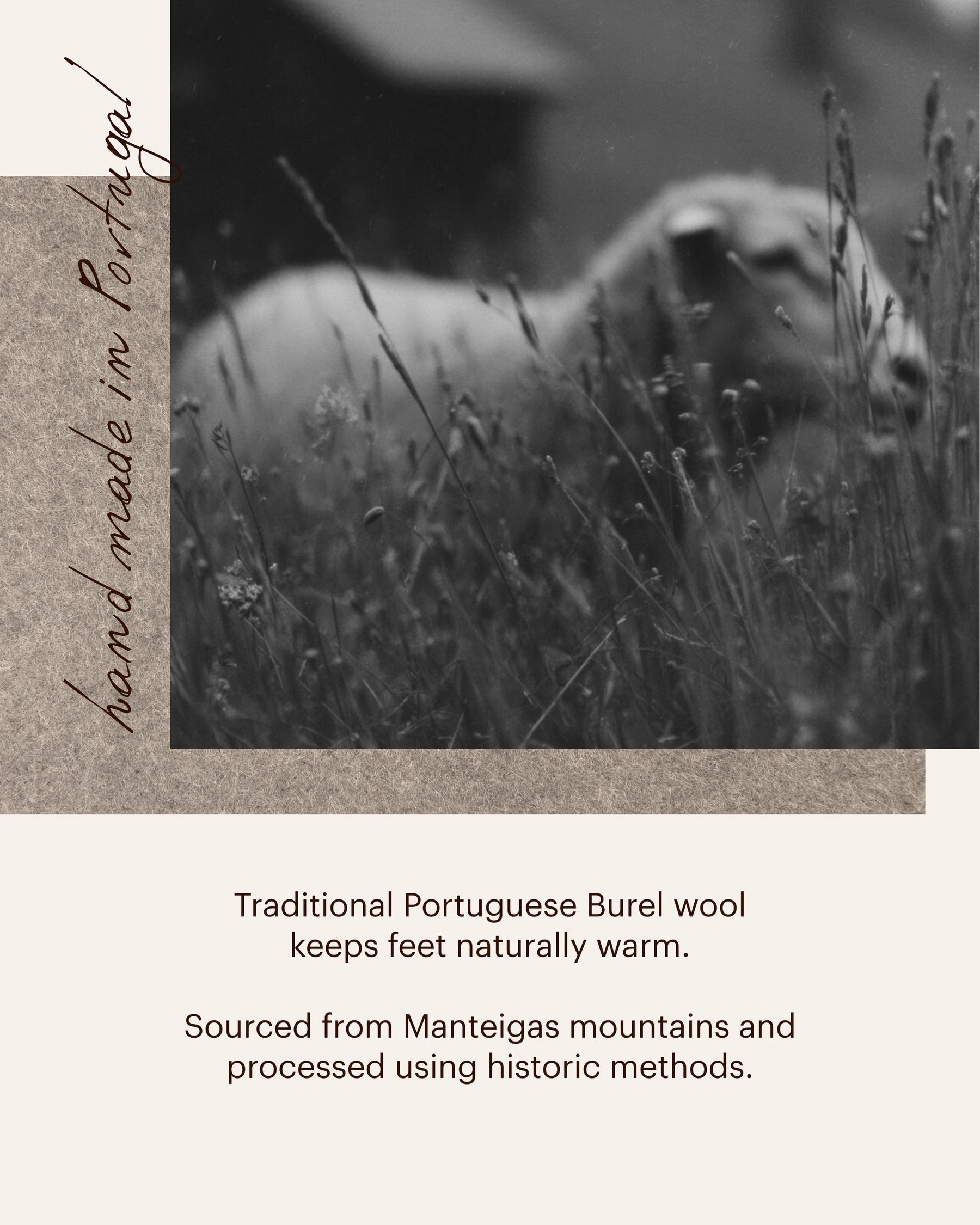 ROMA Wool Burel 1974 Burgundy